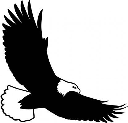 Bald eagle silhouette.