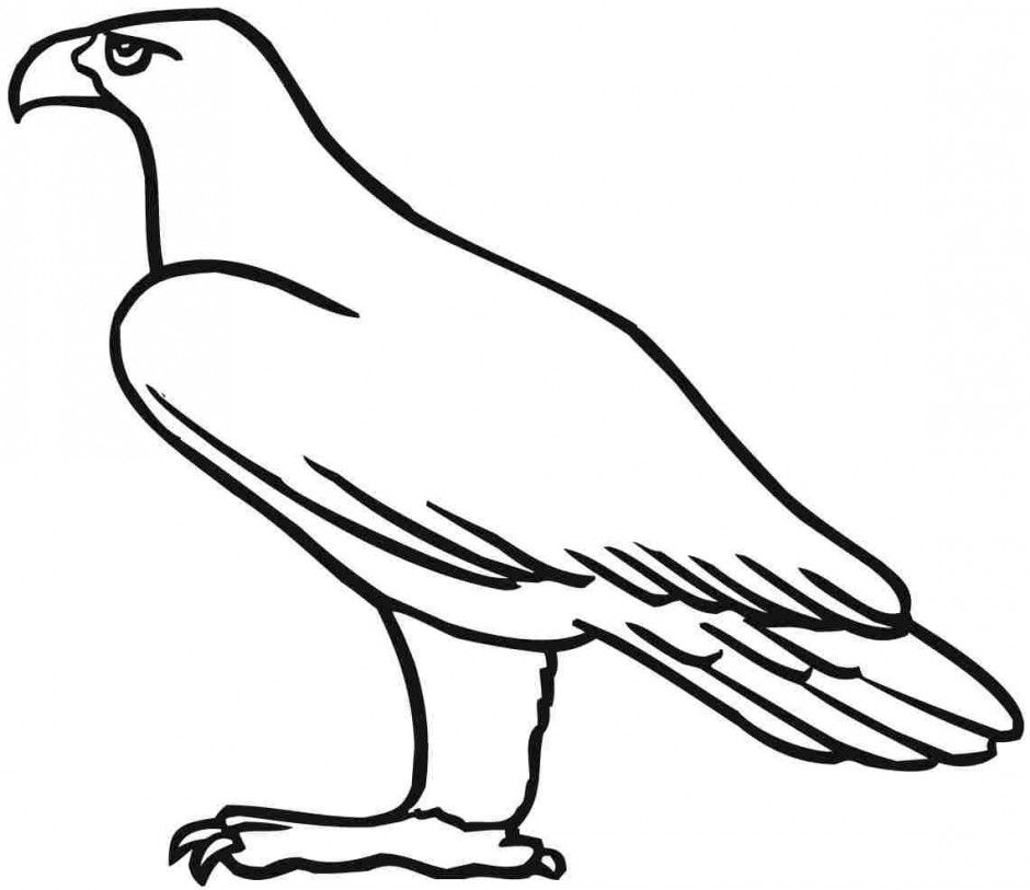 Simple eagle standing coloring page