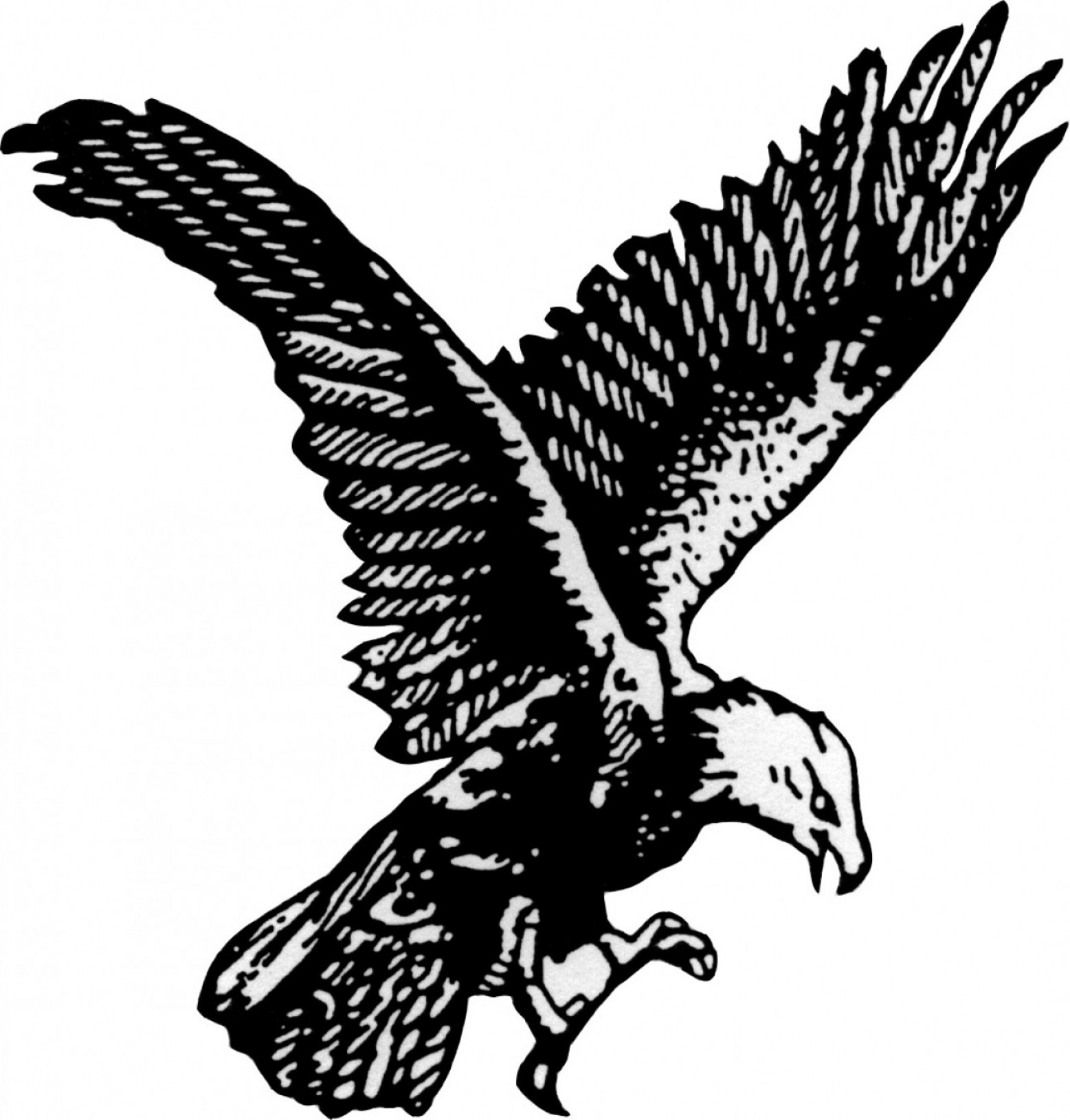 Soaring Eagle Clipart Black And White