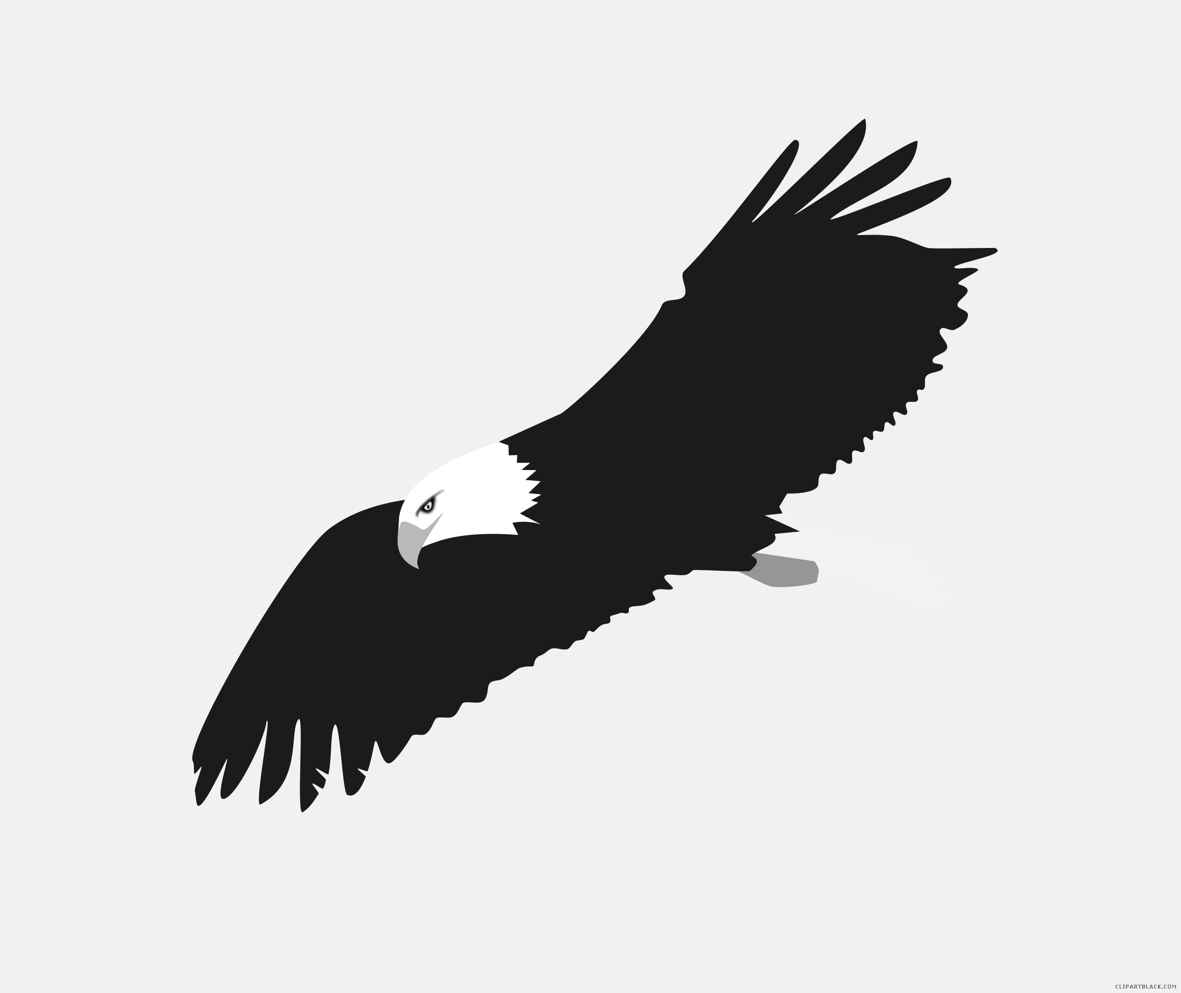 Eagle clipart standing.