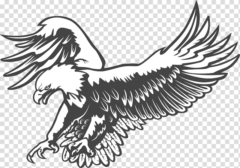 Bald eagle Black and white graphics, eagle transparent