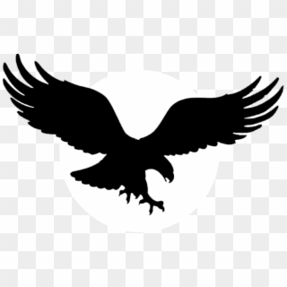 Free eagles png.