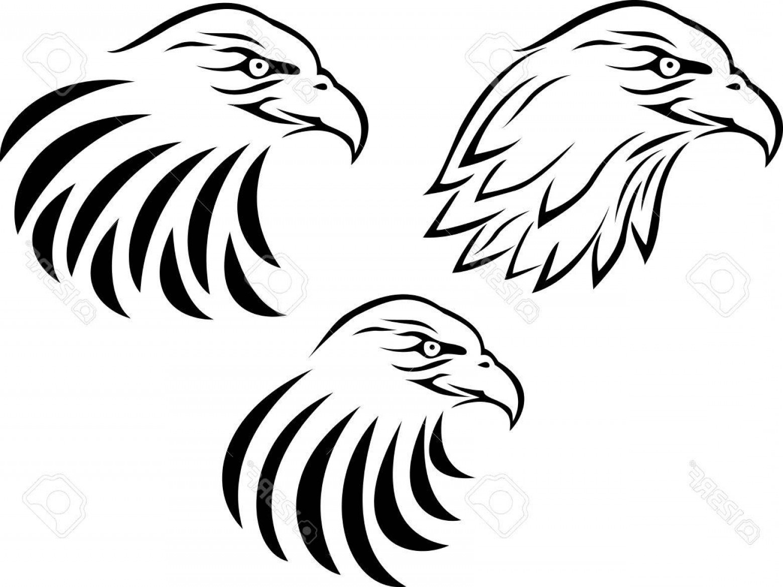 Eagle Head Clipart Black And White Vector