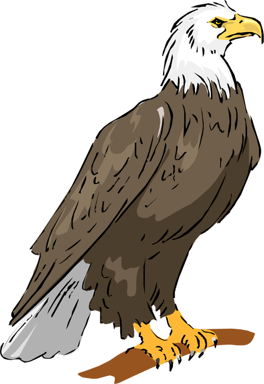 Cool clipart eagle.