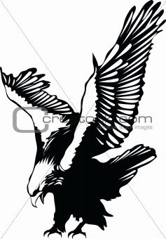 Flying eagle silhouette.