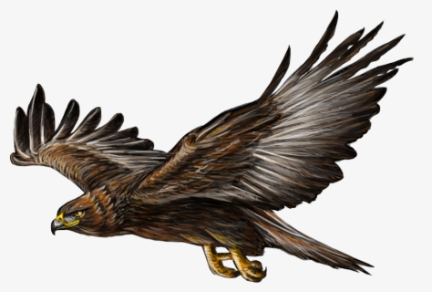 Free Golden Eagle Clip Art with No Background