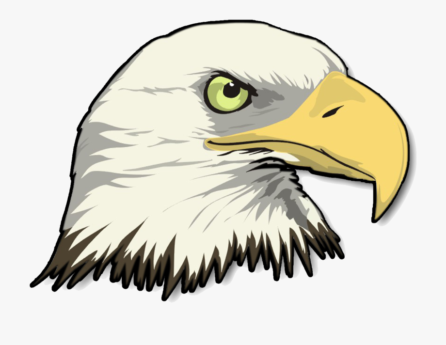 Eagle transparent png.