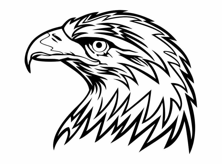 Eagle Head Png Picture