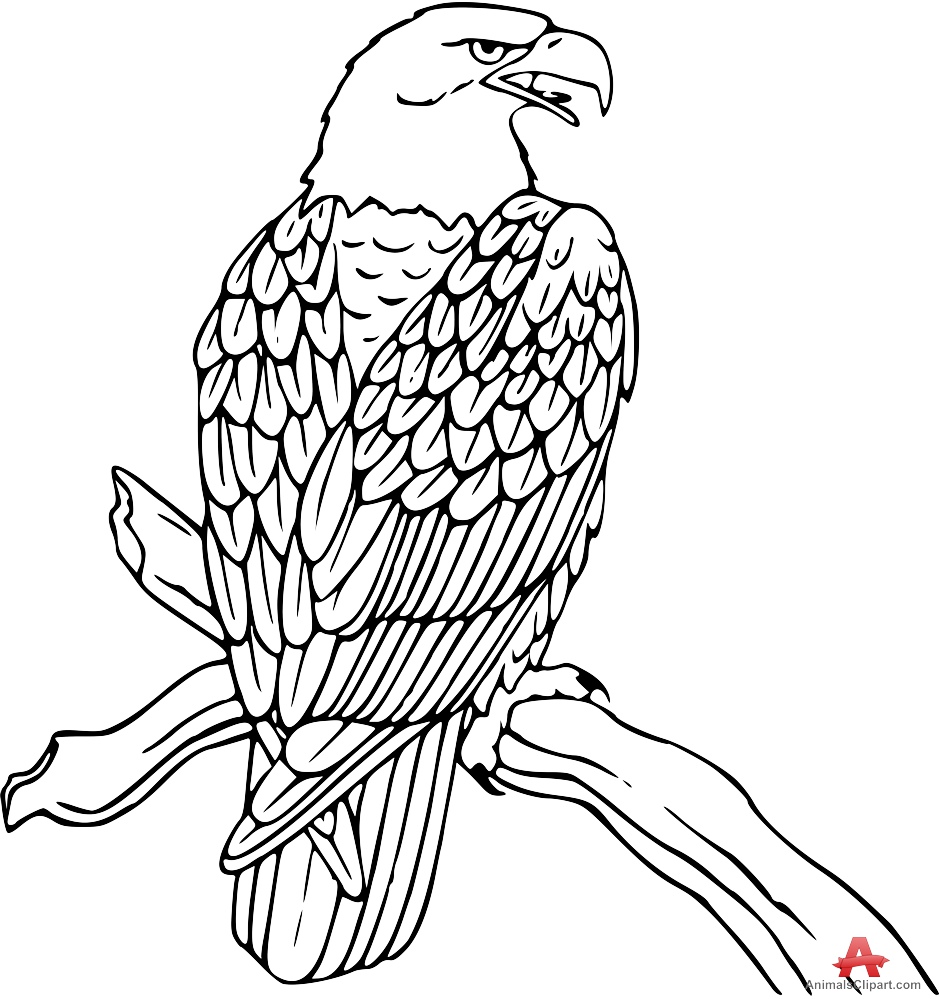 Free Eagle Outline Cliparts, Download Free Clip Art, Free
