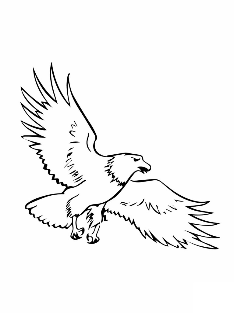 Free Eagle Outline Cliparts, Download Free Clip Art, Free