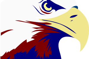 Patriotic eagle clipart.