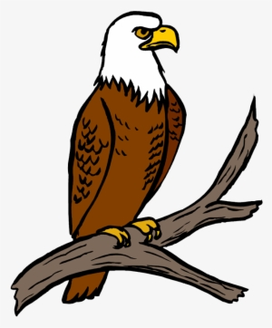 Eagle clipart png.
