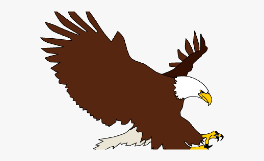Bald Eagle Clipart Colored
