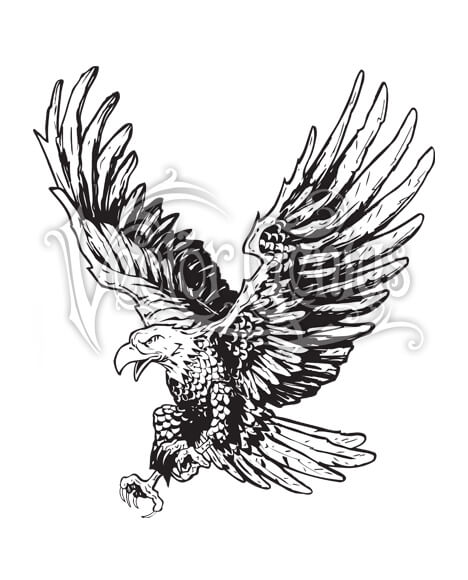 Flying Hand Drawn Eagle ClipArt