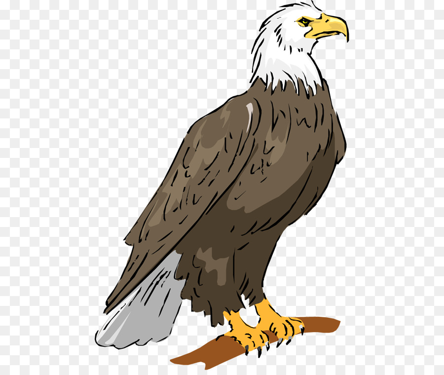 Eagle bird clipart.