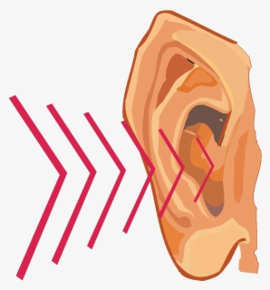 Free Listening Ears Clip Art with No Background