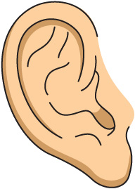 Free Ear Cliparts, Download Free Clip Art, Free Clip Art on