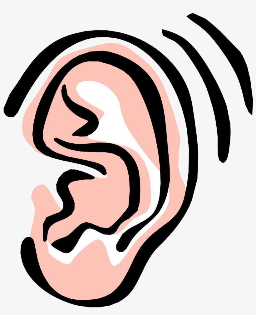 Ear clipart png.