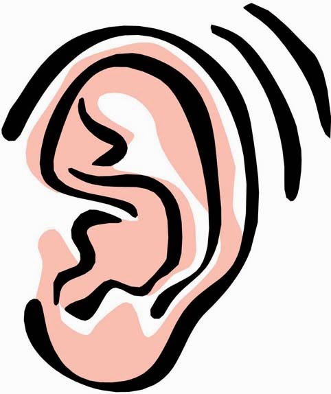 Image Of The Ear Clipart