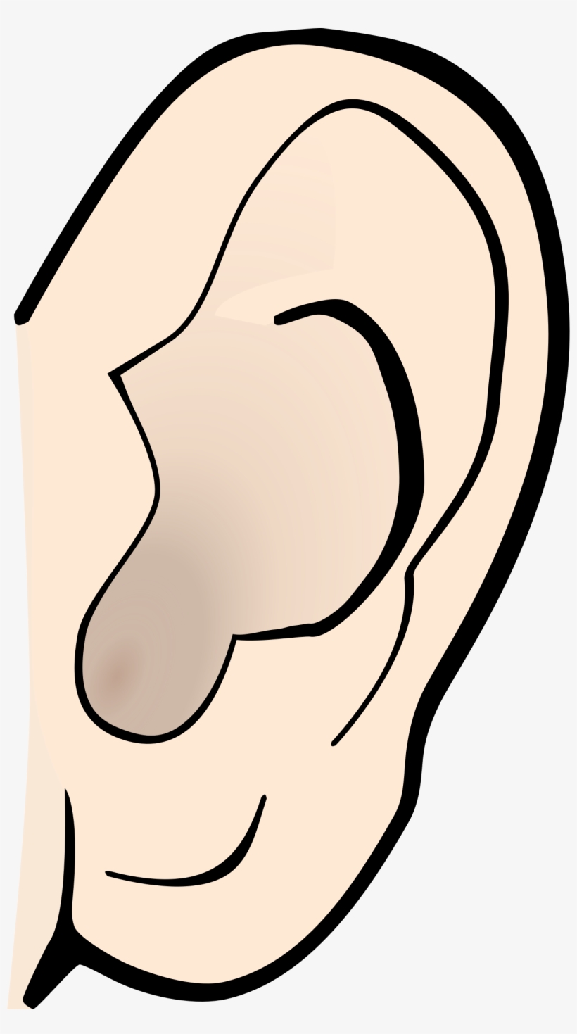 Ear Clip Pair