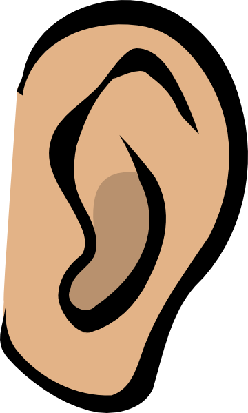 Ear body part.