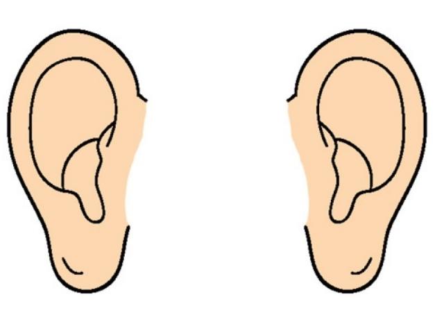 Free Ear Clipart, Download Free Clip Art on Owips