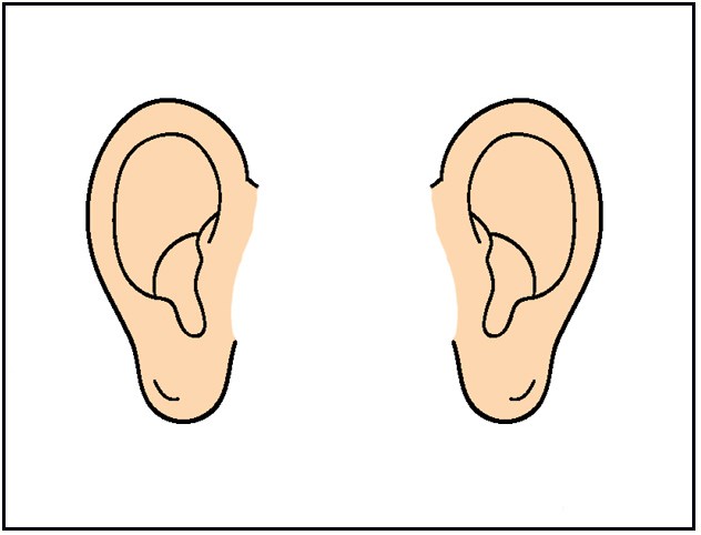 Ears Clip Art Images