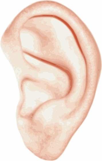 Human ear clip.