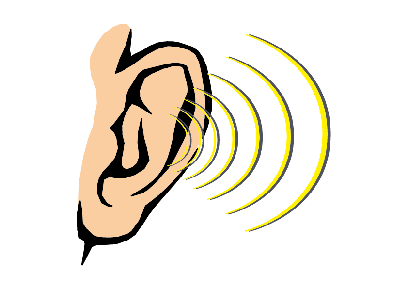 Clipart ear sense organ, Clipart ear sense organ Transparent