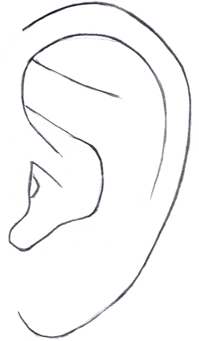 Free Image Of The Ear, Download Free Clip Art, Free Clip Art