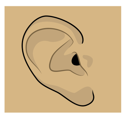 Drawing cartoon ear.