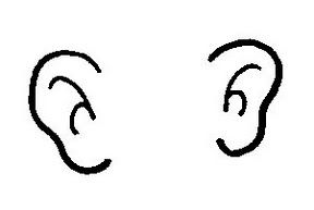 Ears clipart small.