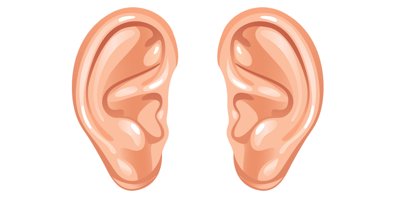 Cartoon Ears transparent PNG