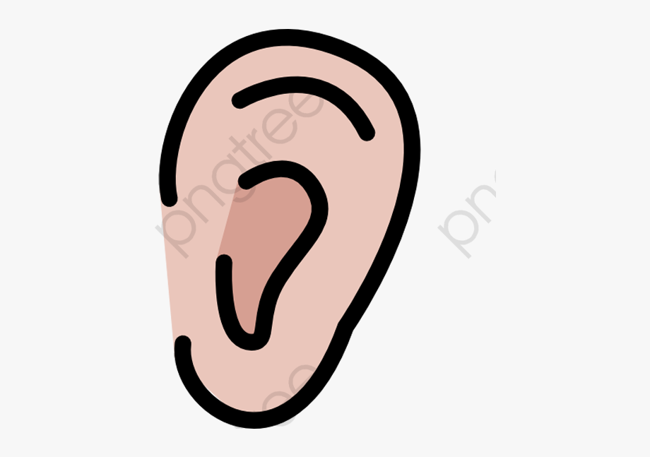 Ear right ear.