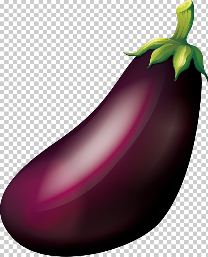 Purple Fruit, Purple eggplant, purple eggplant illustration