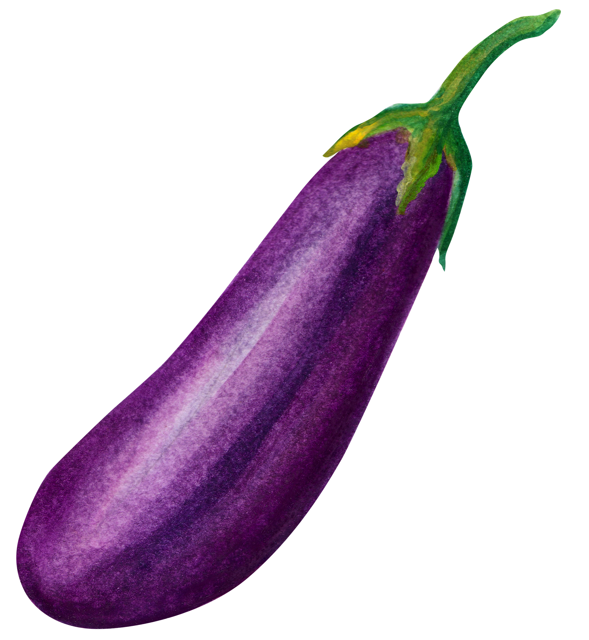 Vegetable eggplant food.