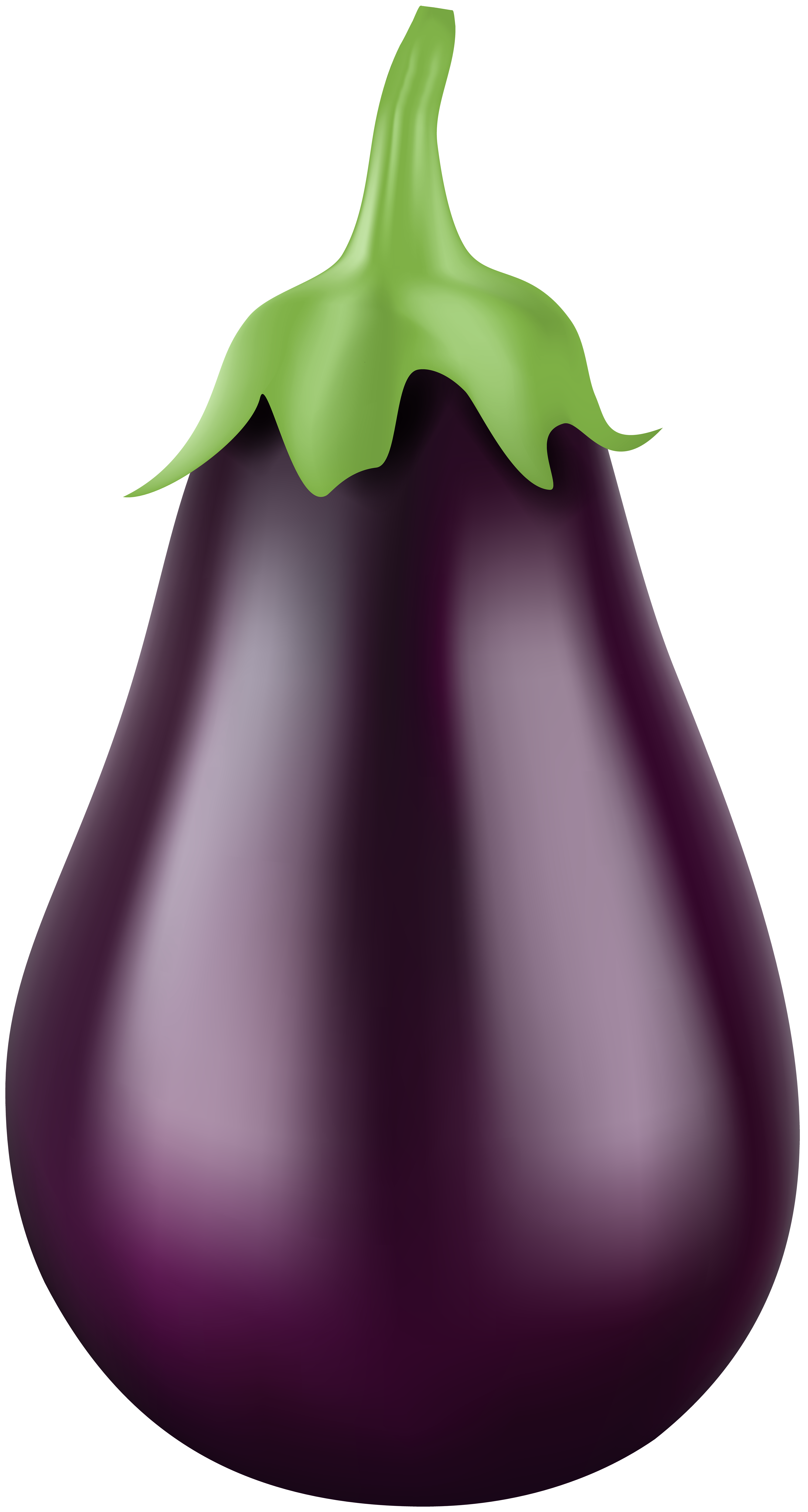 Eggplant PNG Clip Art Image