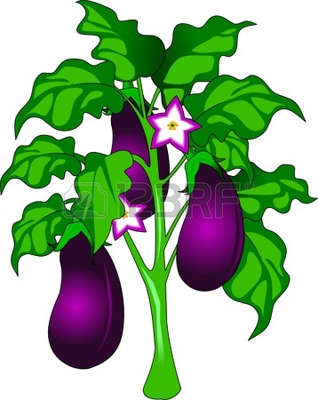 Eggplant images free.