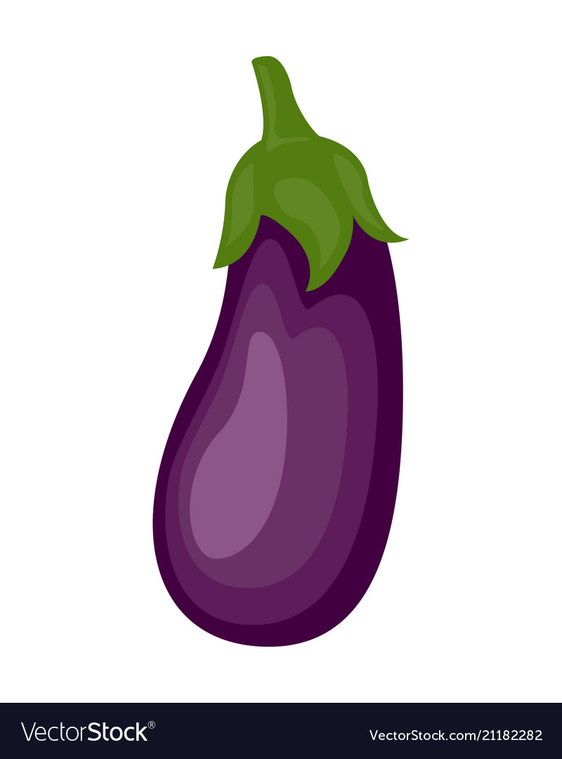 Colorful eggplant isolated.