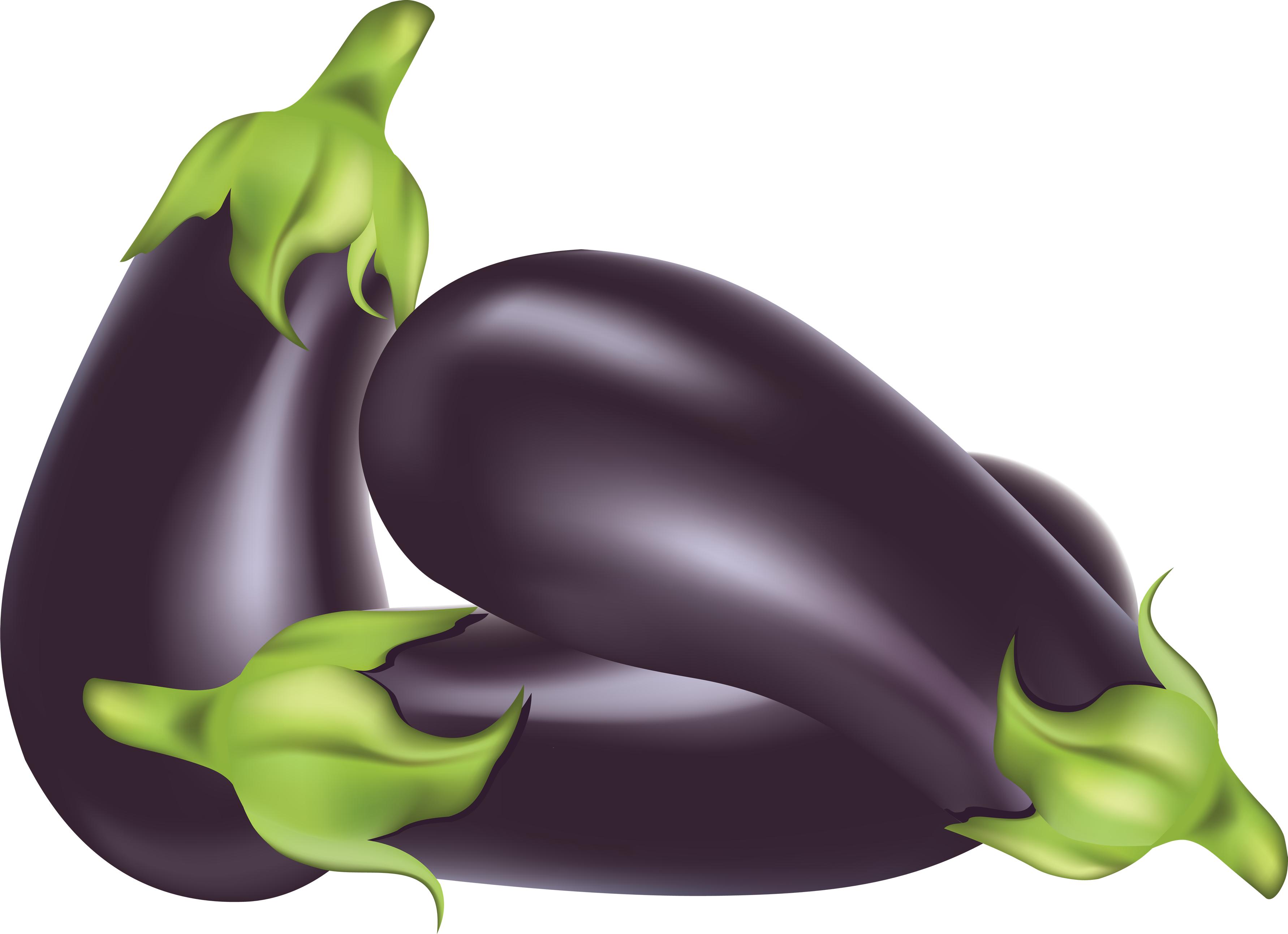 Free Eggplant Cliparts, Download Free Clip Art, Free Clip
