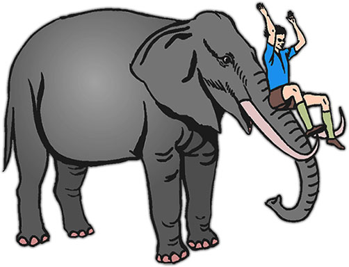 Free elephant animations.