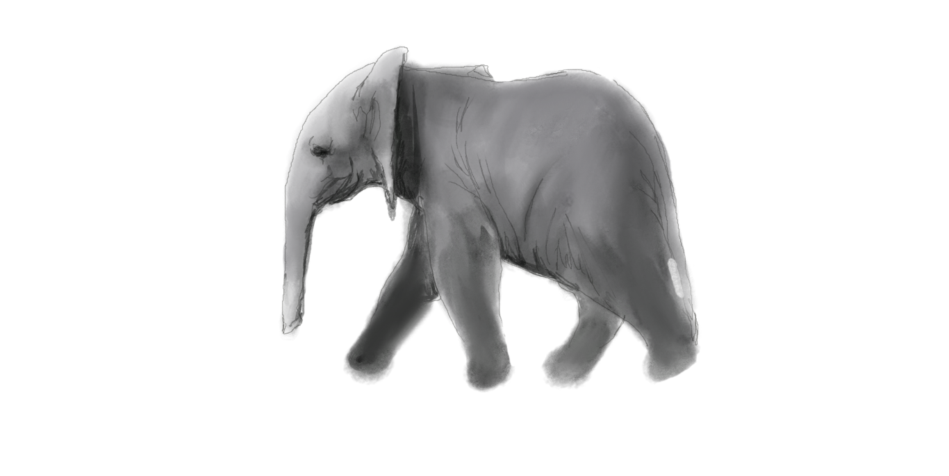 Watercolor baby elephant.