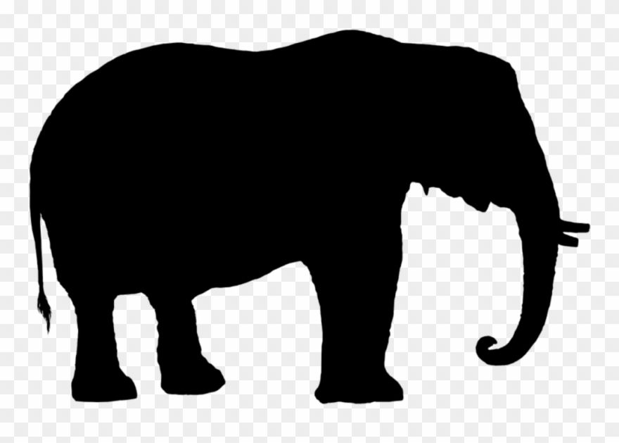 Elephant silhouette elephant.