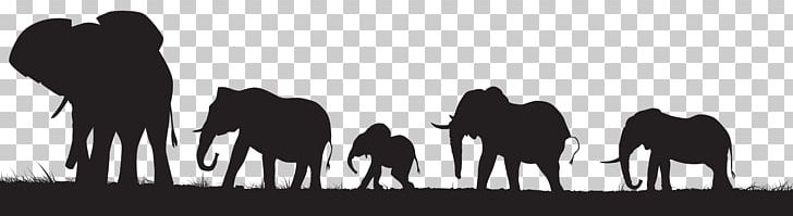 Elephant Silhouette PNG, Clipart, Black And White, Camel