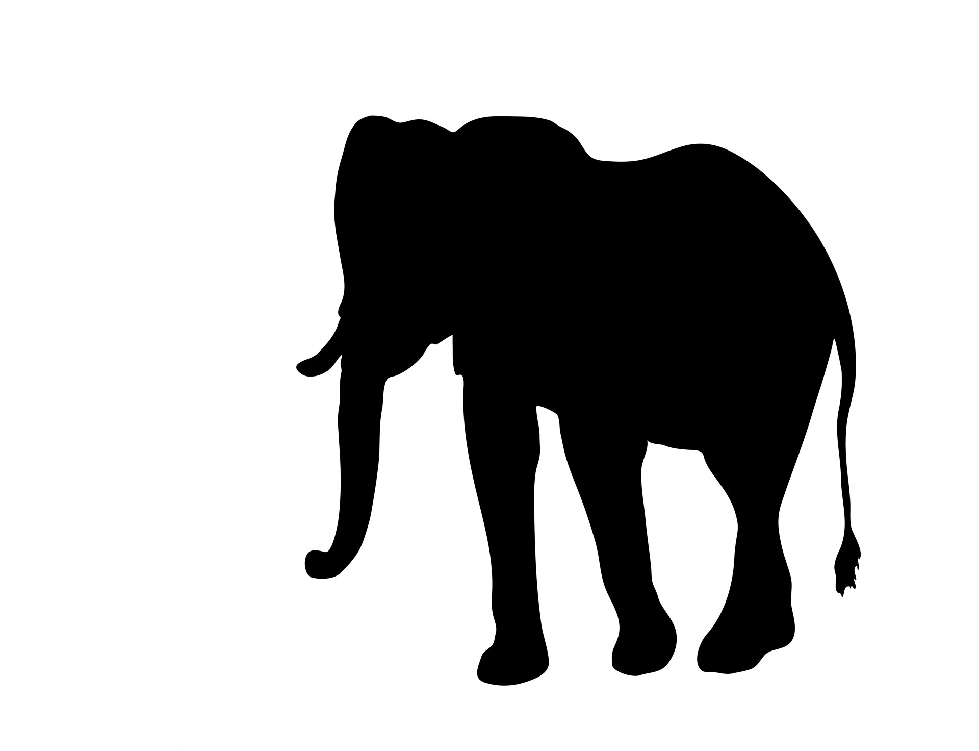elephant silhouette clipart cute