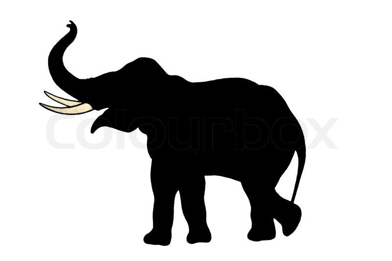Black Clipart Elephant Head Silhouette