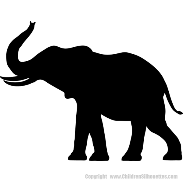 Elephant safari animal.