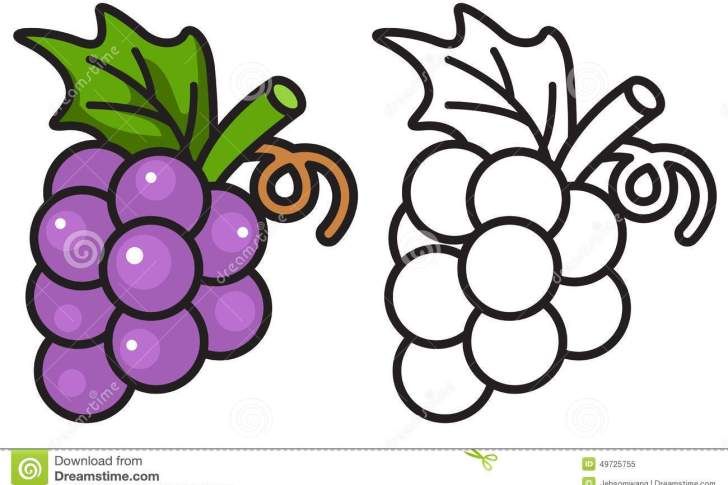 Grape Clipart coloring page