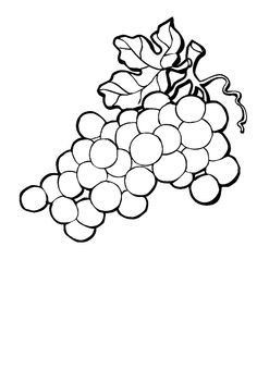 Awesome grapes clipart.