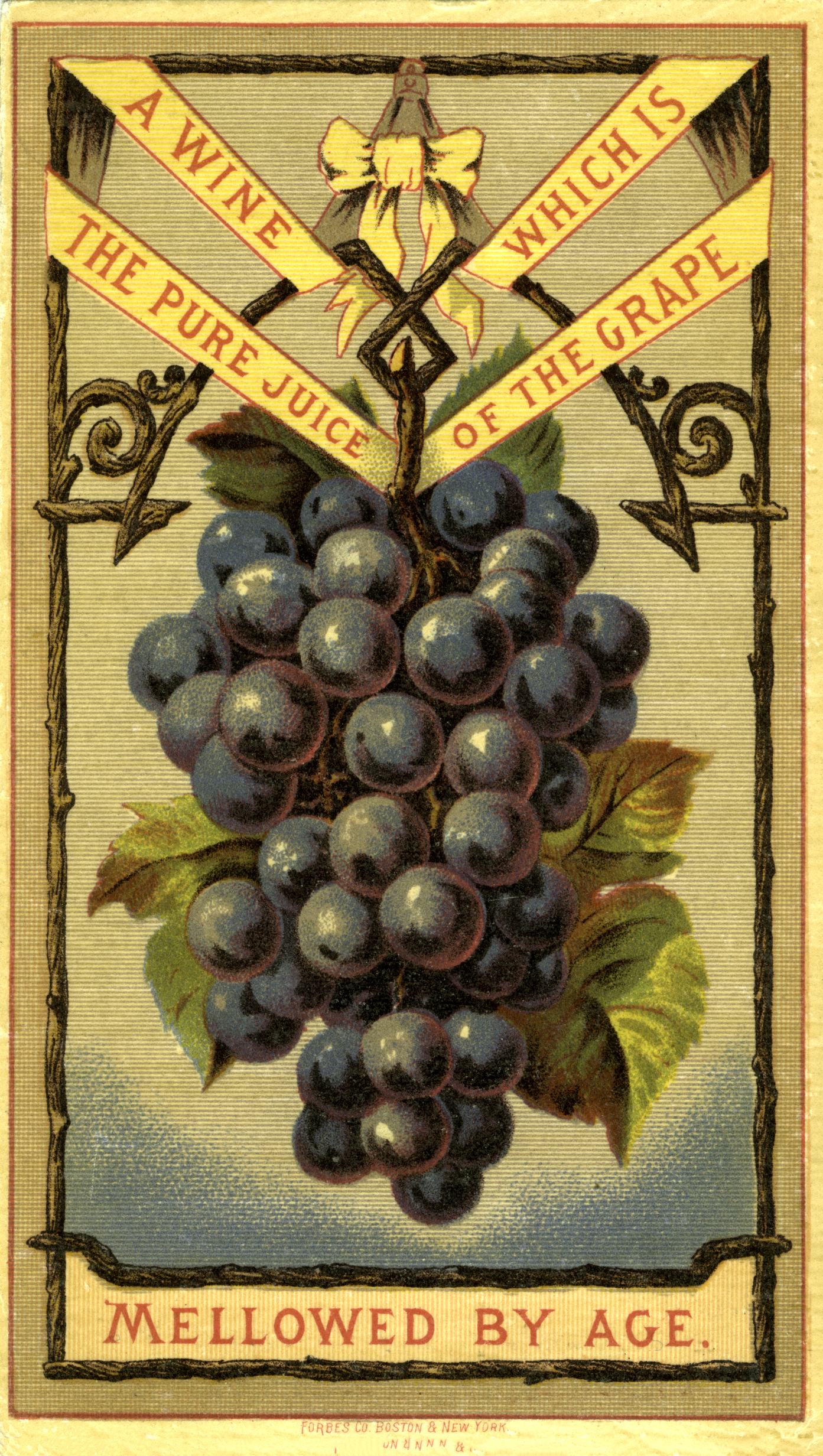 6 Grapes Clipart and Botanicals